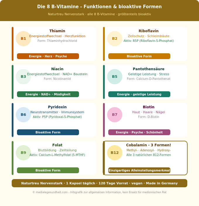 Vitamin B Komplex alle 8 B-Vitamine Funktionen bioaktive Formen Übersicht Infografik