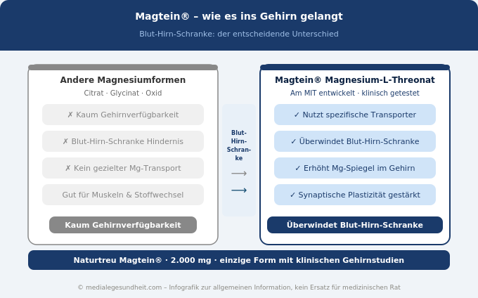 Magtein Blut-Hirn-Schranke Vergleich Magnesium L-Threonat vs andere Formen Infografik