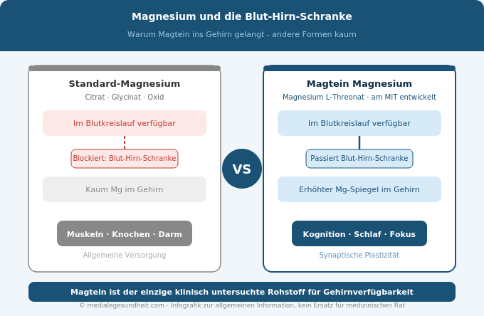 Magtein Blut-Hirn-Schranke Vergleich Magnesium L-Threonat vs andere Formen Infografik