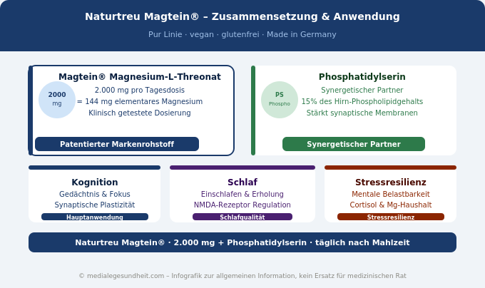 Naturtreu Magtein Phosphatidylserin Gehirn Fokus Schlaf Zusammensetzung Infografik