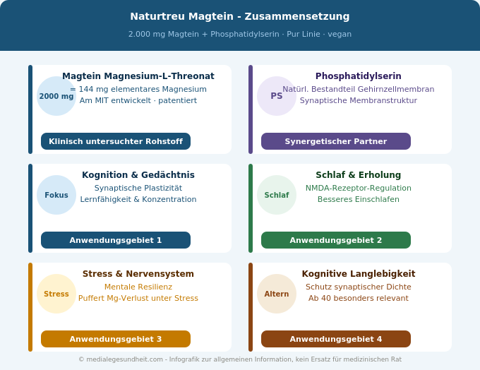 Naturtreu Magtein Phosphatidylserin Gehirn Fokus Schlaf Zusammensetzung Infografik