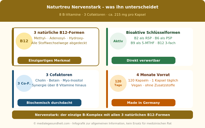 Naturtreu Nervenstark 3 B12-Formen bioaktiv Cofaktoren Unterschied Infografik