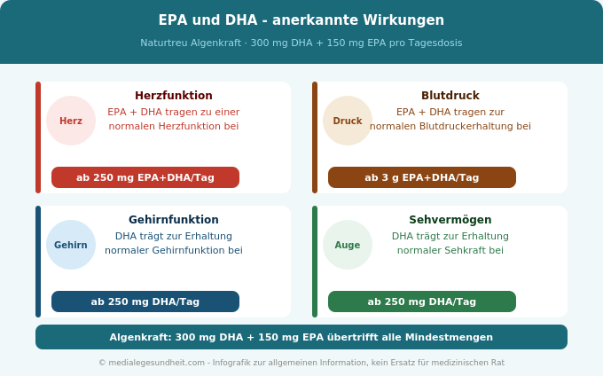 EPA DHA Omega-3 Wirkung Herz Gehirn Sehvermögen Blutdruck EFSA anerkannt Infografik