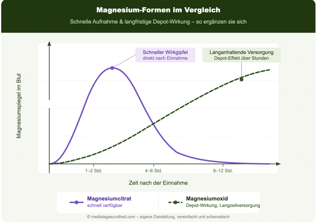Vergleich Magnesiumcitrat und Magnesiumoxid Aufnahmekurve Infografik