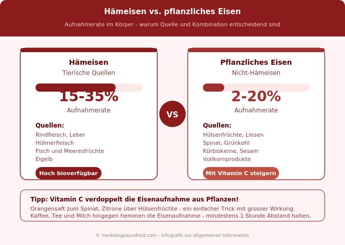 Hämeisen pflanzliches Eisen Aufnahmerate Vergleich Infografik