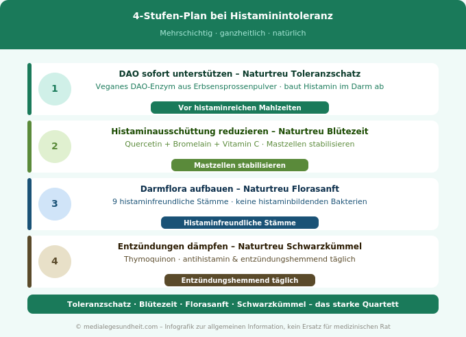 Histaminintoleranz natürlich behandeln 4 Stufen Plan Naturtreu Infografik