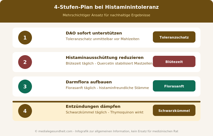 Histaminintoleranz natürlich behandeln 4 Stufen Plan Naturtreu Infografik