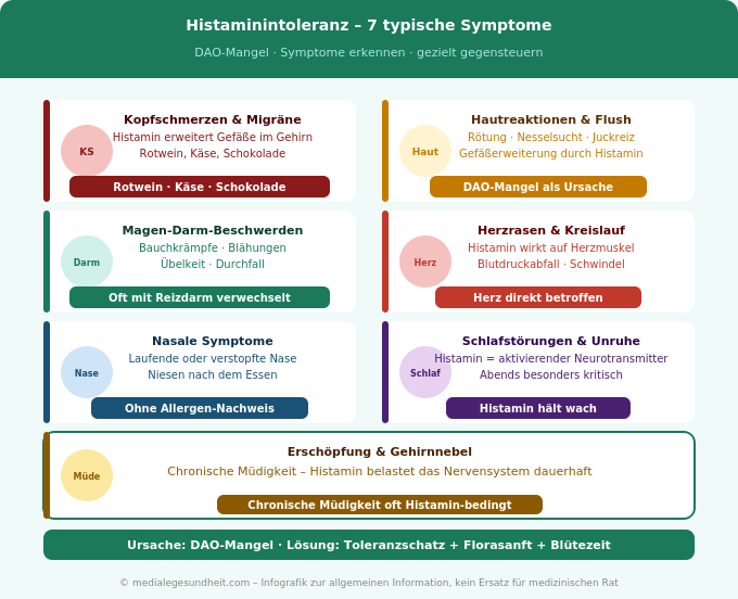 Histaminintoleranz Symptome Übersicht Körperbereiche Infografik