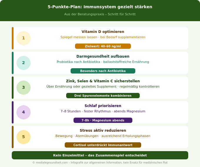 Immunsystem stärken 5 Punkte Plan natürlich Infografik