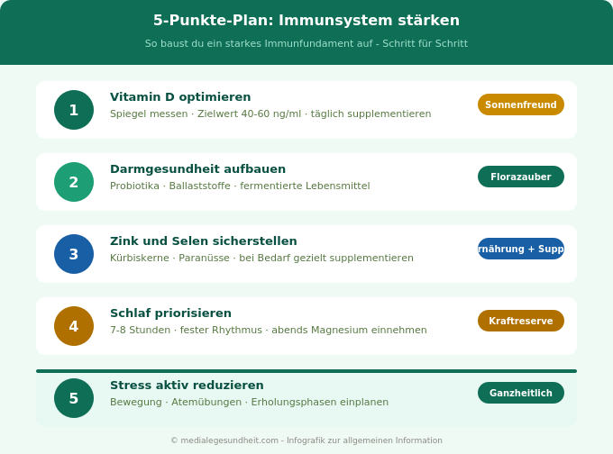 Immunsystem stärken 5 Punkte Plan natürlich Infografik