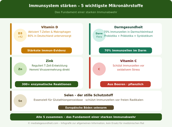 Immunsystem stärken Mikronährstoffe Vitamin D Zink Übersicht Infografik