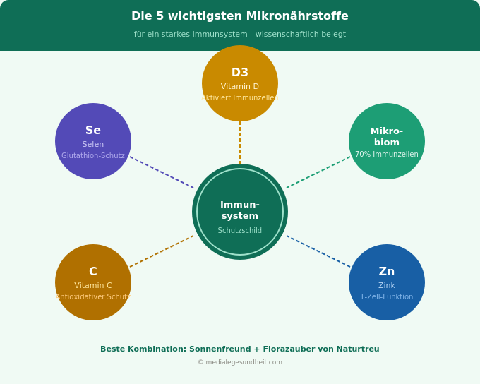 Immunsystem stärken Mikronährstoffe Vitamin D Zink Übersicht Infografik