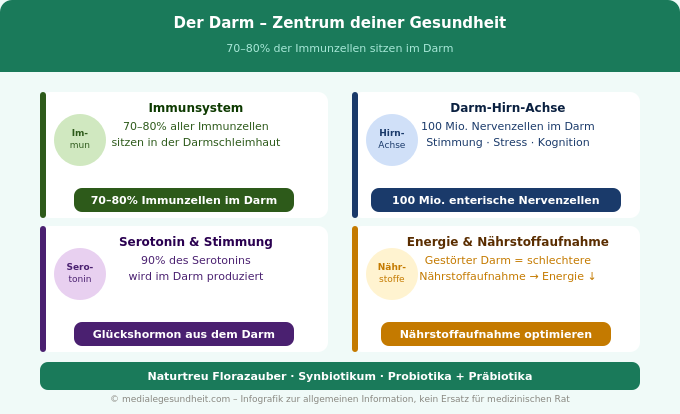Mikrobiom Darm Gesundheit Immunsystem Zusammenhang Infografik