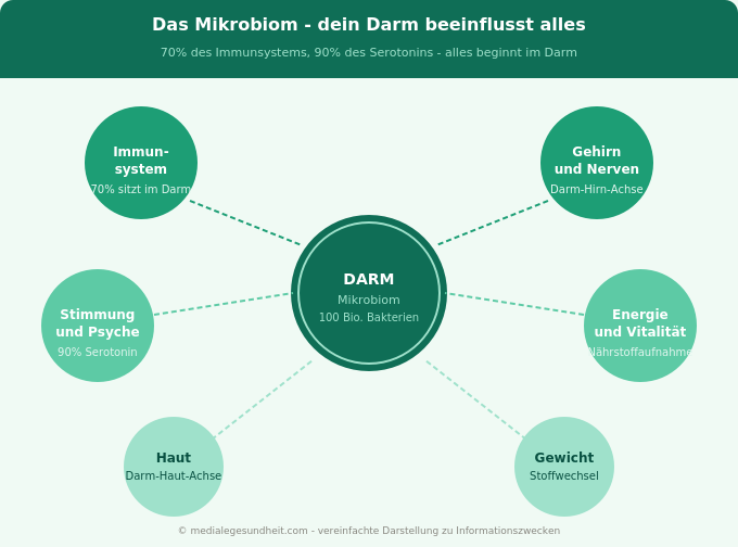 Mikrobiom Darm Gesundheit Immunsystem Zusammenhang Infografik