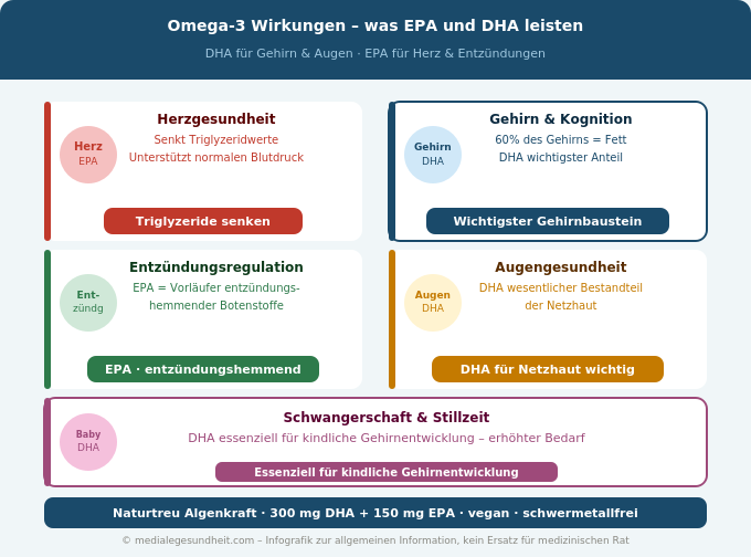 Omega-3 Wirkung Herz Gehirn Entzündung Übersicht Infografik