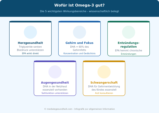 Omega-3 Wirkung Herz Gehirn Entzündung Übersicht Infografik