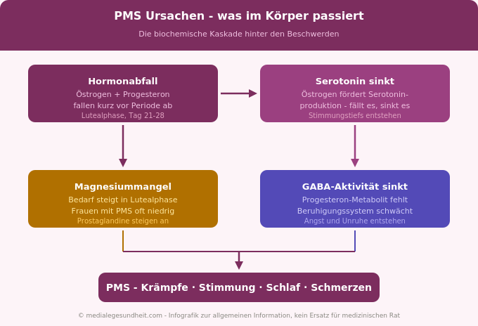 PMS Ursachen Hormonabfall Serotonin Magnesium Zusammenhang Infografik