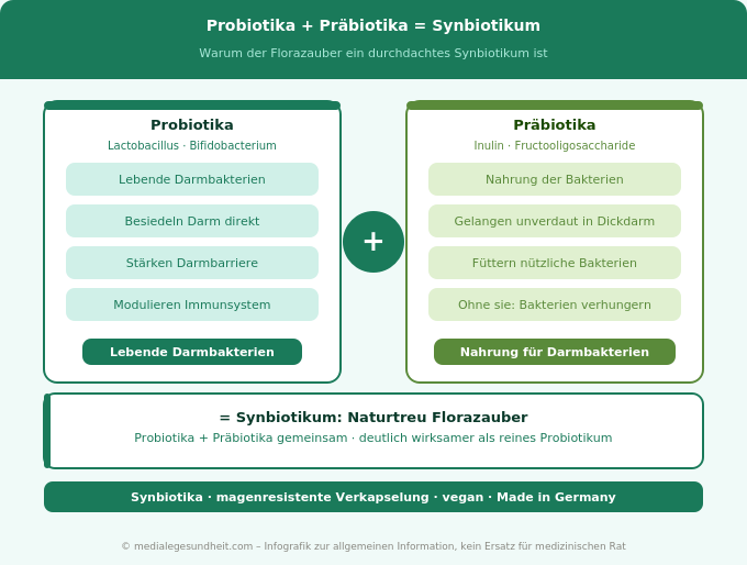 Probiotika Präbiotika Synbiotika Unterschied Infografik
