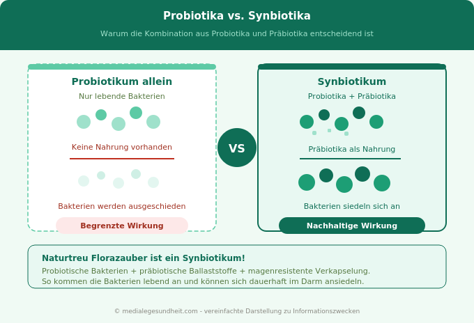 Probiotika Präbiotika Synbiotika Unterschied Infografik