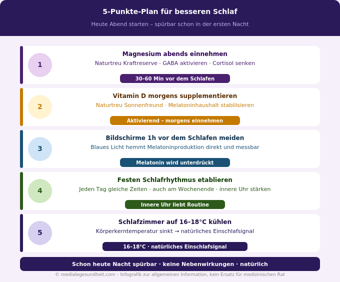 Schlaf natürlich verbessern 5 Punkte Plan Tipps Infografik