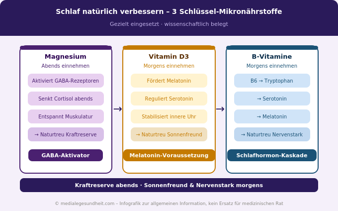 Schlaf natürlich verbessern Mikronährstoffe Magnesium Vitamin D Übersicht Infografik
