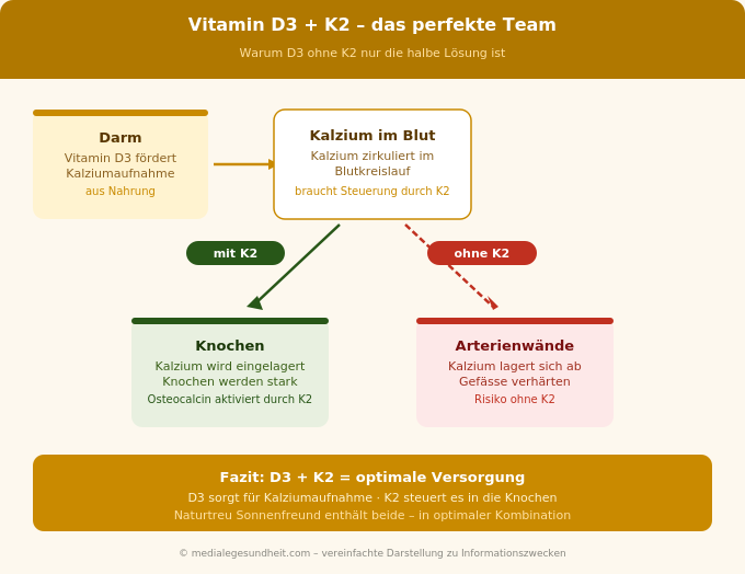 Vitamin D3 und K2 Wirkung Zusammenspiel Infografik
