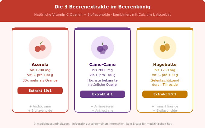 Naturtreu Beerenkönig Acerola Camu-Camu Hagebutte Vitamin C Bioflavonoide Infografik