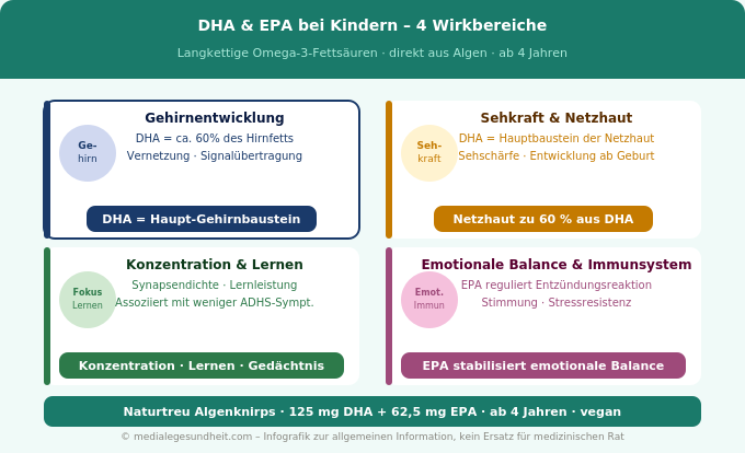 DHA EPA Kinder Wirkung Gehirn Sehkraft Konzentration Omega-3 Infografik