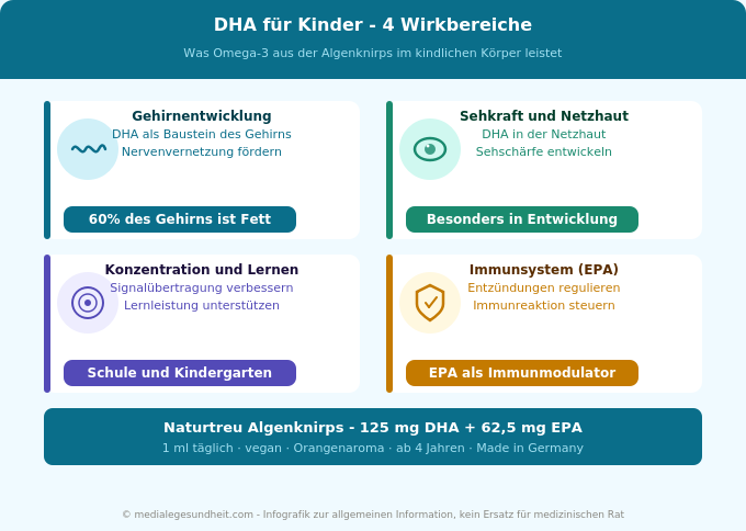 DHA EPA Kinder Wirkung Gehirn Sehkraft Konzentration Omega-3 Infografik
