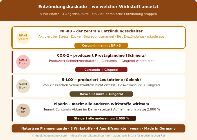 Entzündungskaskade natürlich hemmen Curcumin Boswelliasäure Wirkmechanismus Infografik