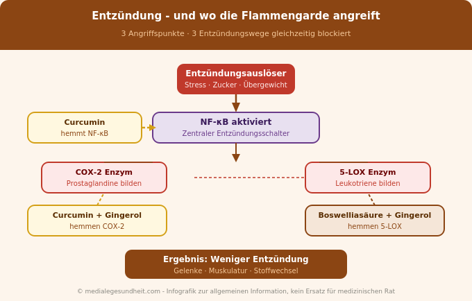 Entzündungskaskade natürlich hemmen Curcumin Boswelliasäure Wirkmechanismus Infografik