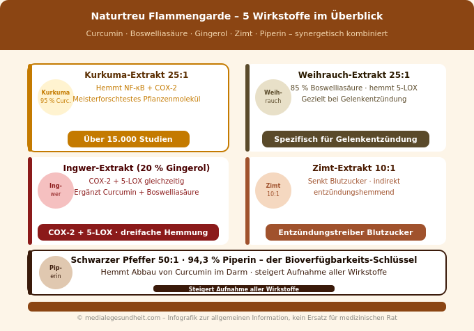 Naturtreu Flammengarde Wirkstoffe Curcumin Weihrauch Ingwer Zimt Pfeffer Infografik
