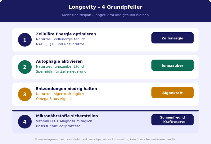 Longevity Protokoll 4 Grundpfeiler Zellenergie Autophagie Infografik