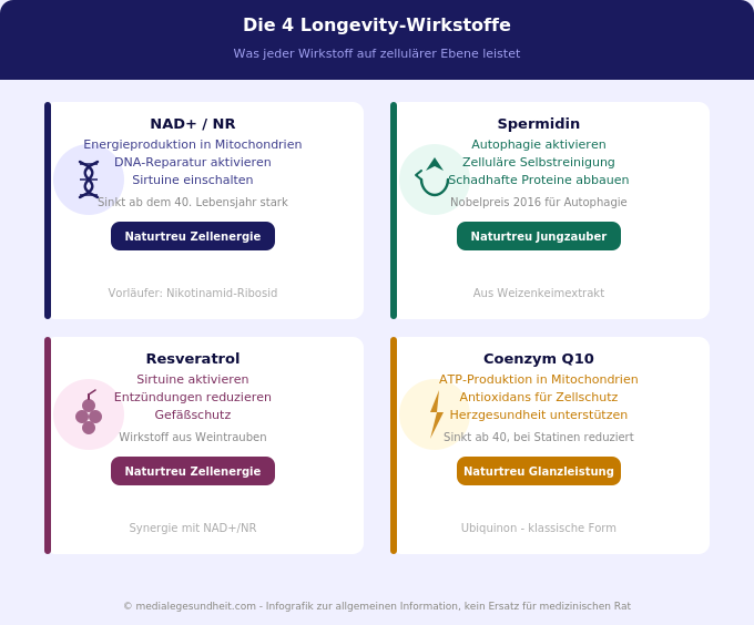 Longevity Wirkstoffe NAD+ Spermidin Resveratrol Q10 Übersicht Infografik