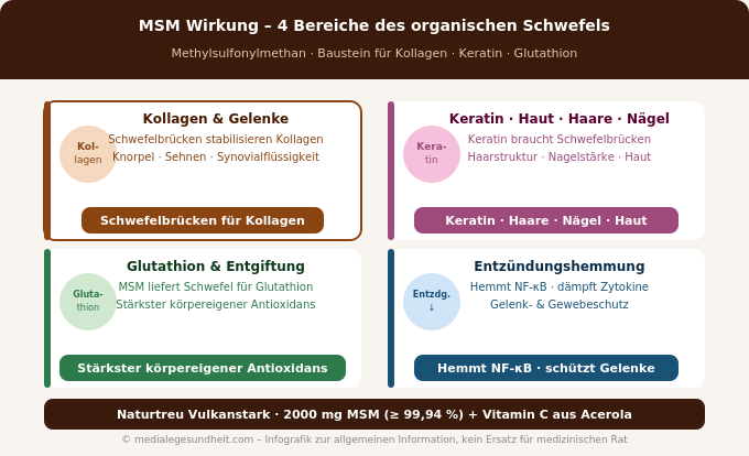 MSM Wirkung Gelenke Haut Kollagen Schwefel Übersicht Infografik