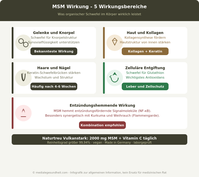 MSM Wirkung Gelenke Haut Kollagen Schwefel Übersicht Infografik