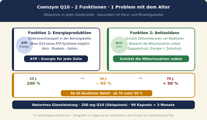 Coenzym Q10 Wirkung Mitochondrien Energieproduktion Altersabfall Infografik