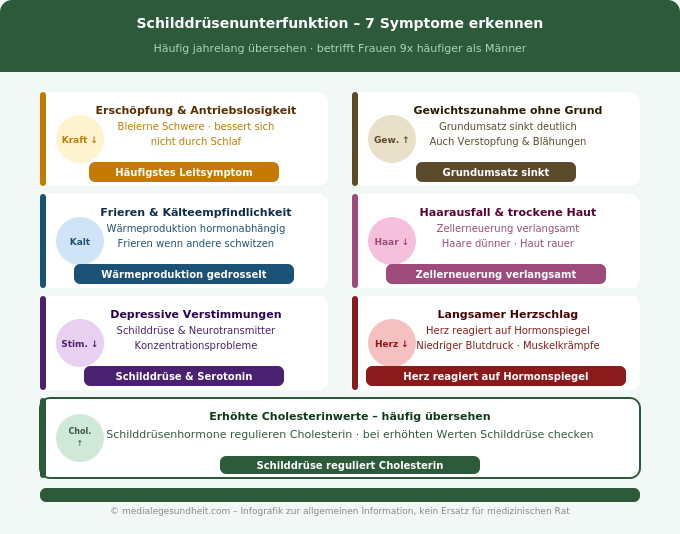 Schilddrüsenunterfunktion Symptome Übersicht Hashimoto Infografik