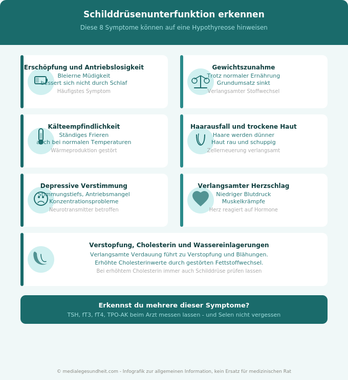Schilddrüsenunterfunktion Symptome Übersicht Hashimoto Infografik
