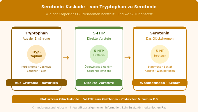 Serotonin Kaskade Tryptophan 5-HTP Stimmung natürlich verbessern Infografik