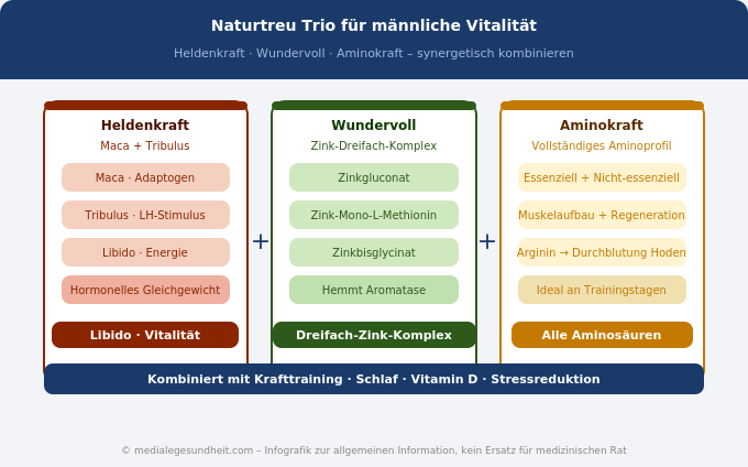 Naturtreu Heldenkraft Wundervoll Aminokraft Testosteron Wirkstoffe Infografik