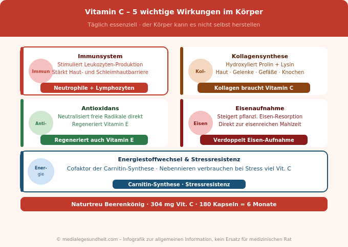 Vitamin C Wirkung Immunsystem Kollagen Antioxidans Eisenaufnahme Infografik