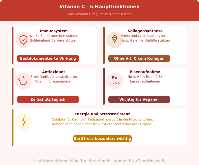 Vitamin C Wirkung Immunsystem Kollagen Antioxidans Eisenaufnahme Infografik