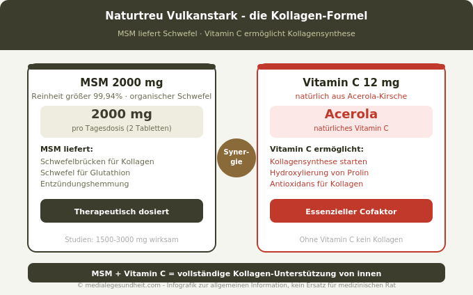 Naturtreu Vulkanstark MSM 2000mg Acerola Vitamin C Kollagen Infografik