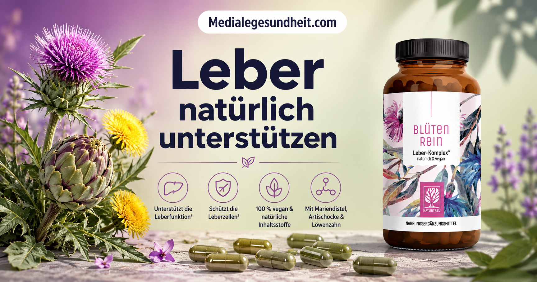 Leber natürlich unterstützen – was Mariendistel, Artischocke und Löwenzahn wirklich leisten