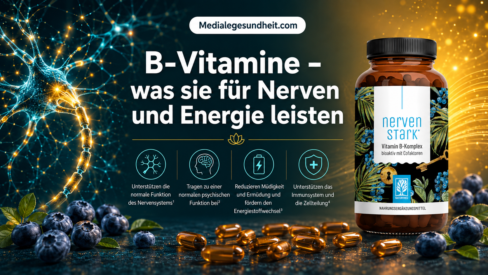B-Vitamine Wirkung – was sie für Nervensystem und Energie wirklich leisten