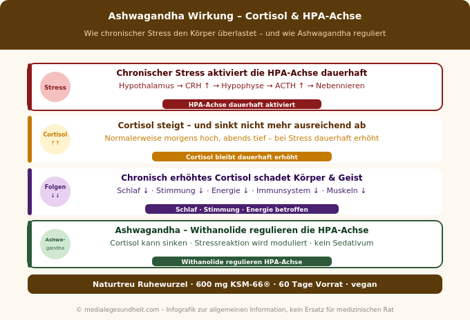 Ashwagandha Wirkung Cortisol HPA-Achse Stresssystem Infografik