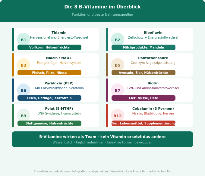 B-Vitamine Übersicht Funktionen B1 B2 B3 B5 B6 B7 B9 B12 Infografik