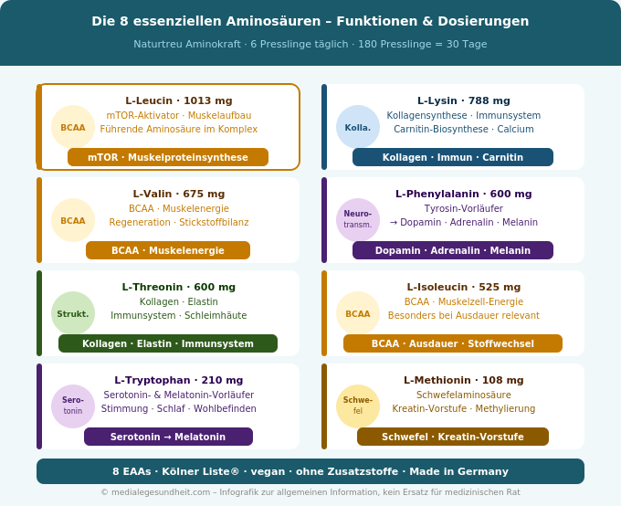 Essenzielle Aminosäuren EAA Leucin Lysin Valin Tryptophan Übersicht Infografik