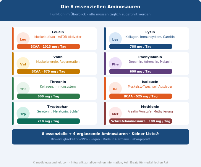 Essenzielle Aminosäuren EAA Leucin Lysin Valin Tryptophan Übersicht Infografik
